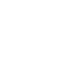 New Horizons,New Education!