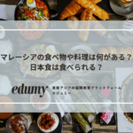 レーシアの食べ物や料理は何がある？日本食は食べられる？